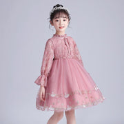 Girls Embriodery Lace Princess Tutu Birthday Party Formal Dresses - MomyMall