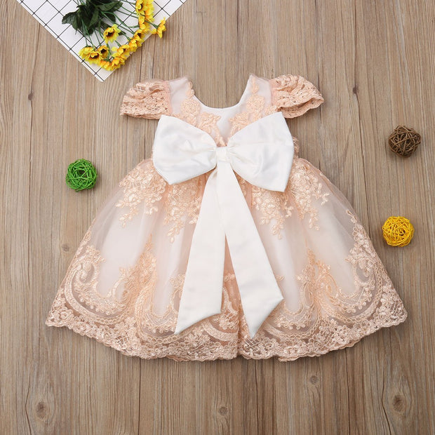 Girl Princess Flower Embroidered Bowknot Party Dresses 6M-4T - MomyMall Champagne / 4T