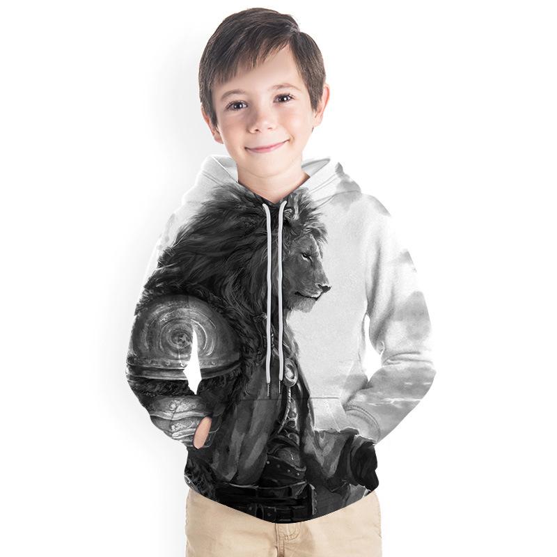 Kids Boy 3D Animal Print Casual Hoodie