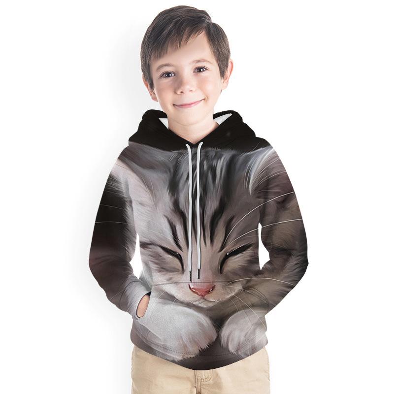 Kids Boy 3D Animal Print Casual Hoodie