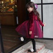 Girls Velvet Party Princess Autumn Ruffle Tulle Dresses