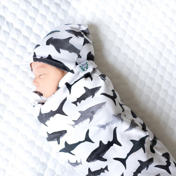 Newborn Dinosaur Print Sleeping Bag Hat Set - MomyMall