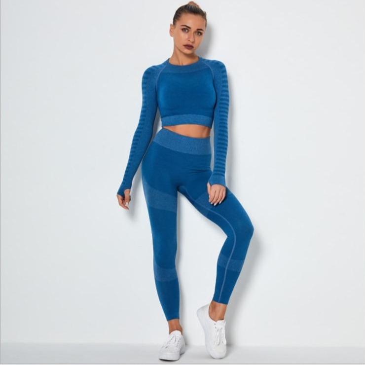 Ensemble haut court sans couture à manches longues et leggings de fitness