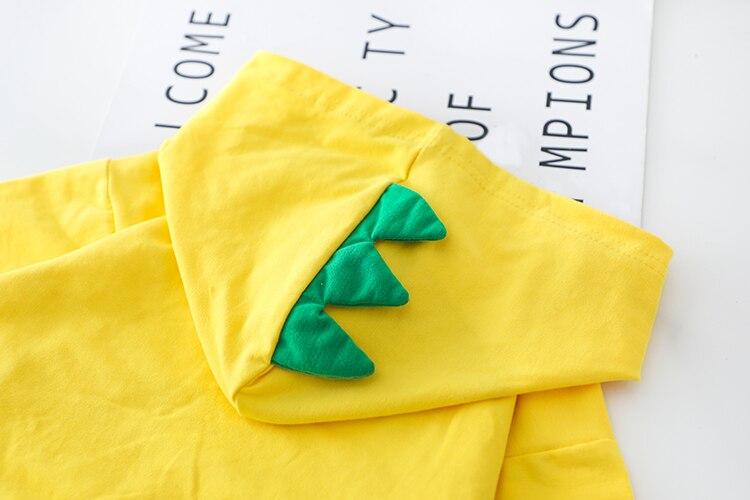 Cute Dinosaur Boys Hooded Fall Outfits 3 Colors 2 Pcs Sets - MomyMall