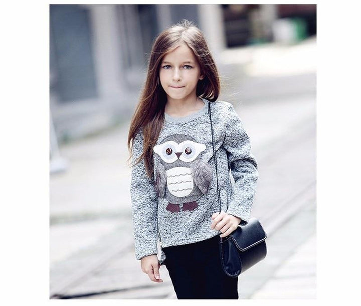Girl Winter Cute Sweater Cartoon Cute Owl Sweater 6-14 Years - MomyMall