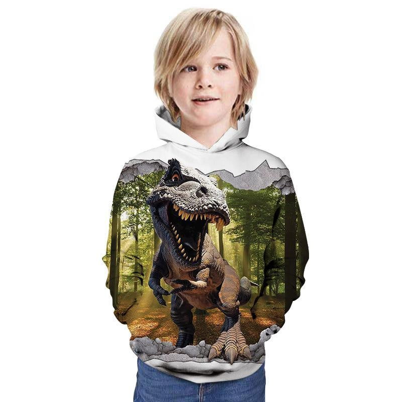 Children Kid 3D Printed Dinosaur Pattern Hoodie - MomyMall Type12 / 3-4 Years