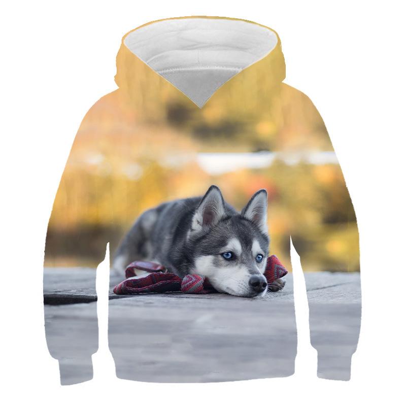 Kids 3D Print Cartoon Animal Loose Long Sleeve Hoodie