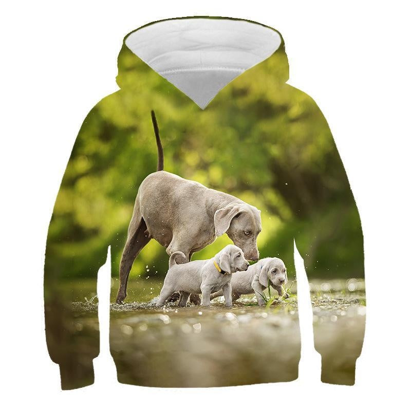 Kids 3D Print Cartoon Animal Loose Long Sleeve Hoodie