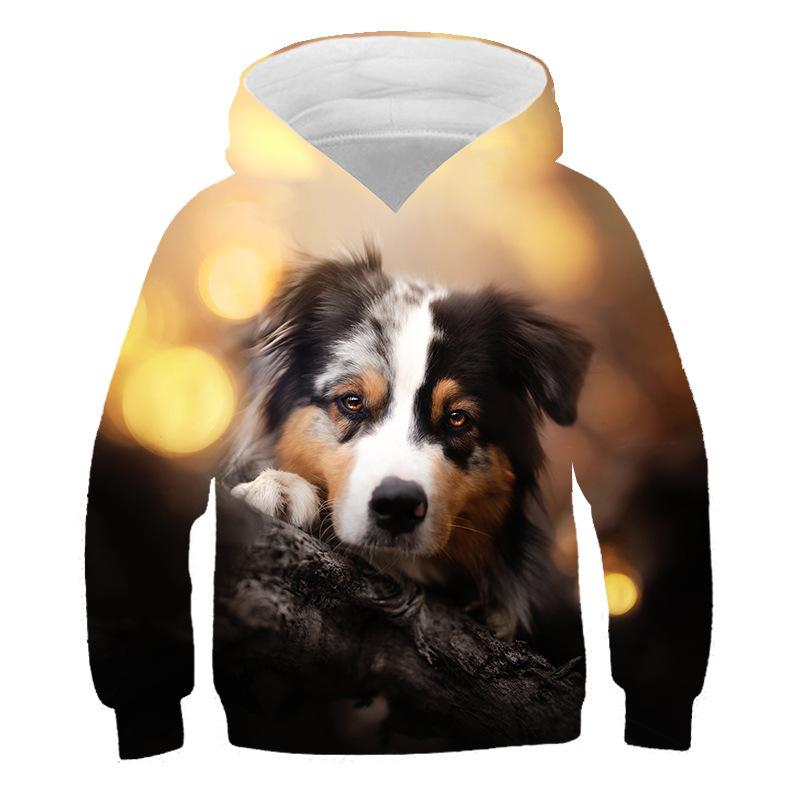 Kids 3D Print Cartoon Animal Loose Long Sleeve Hoodie