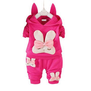 Toddler Girl Spring Autumn Sport Suit  2pcs