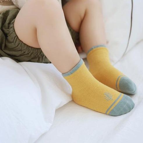 Basic Color Toned Socks [Set of 5] - MomyMall