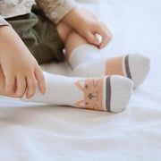 Basic Color Toned Socks [Set of 5] - MomyMall