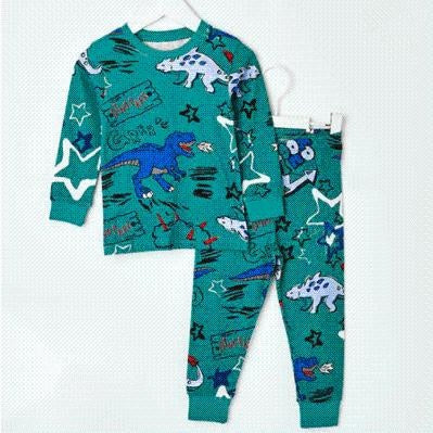 Dino Zoo Organic Cotton Playset - MomyMall 2-3 Years / Green Dino