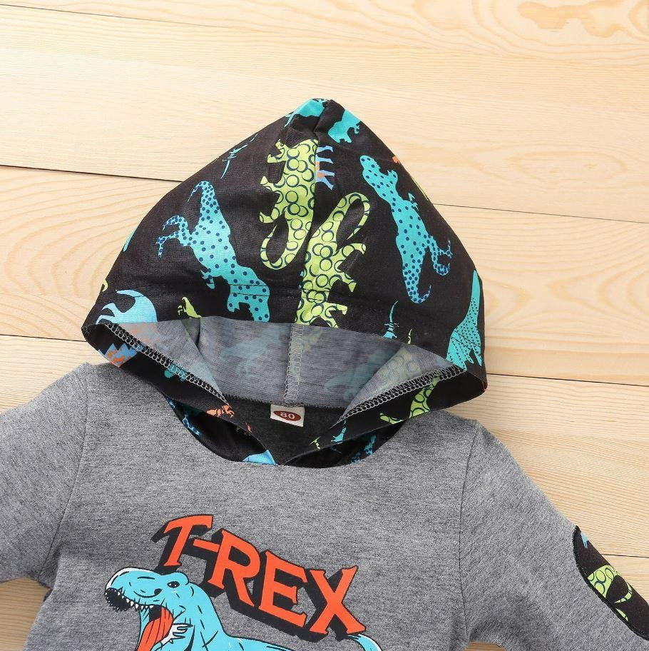 Dinosaur Hoodie & Pants Outfit - MomyMall