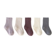 Morandi Solid Color Basic Socks [Set of 5] - MomyMall 0-12 Months / Purple Grey