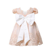 Girl Princess Flower Embroidered Bowknot Party Dresses 6M-4T - MomyMall