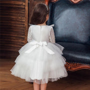 Baby Girl Lace Princess Wedding Party Elegant Dresses - MomyMall