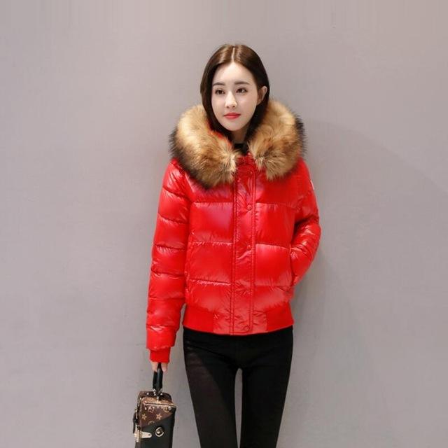 Puffer Coat With Faux Fur Hood