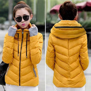 Short Hooded Padded Parka with Hood