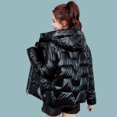 High Shine Quilted Down Parka -  Hooded Winter Coat