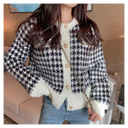 Elegant Imitation Mink Fleece Knitwear ToSweater - MomyMall S 40-45kg / white