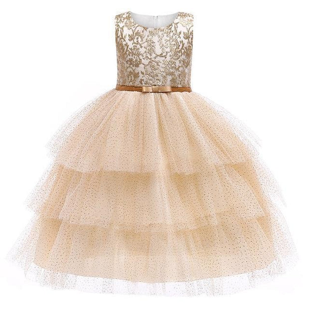 Girl Thread Embroidry Tutu Party Dress