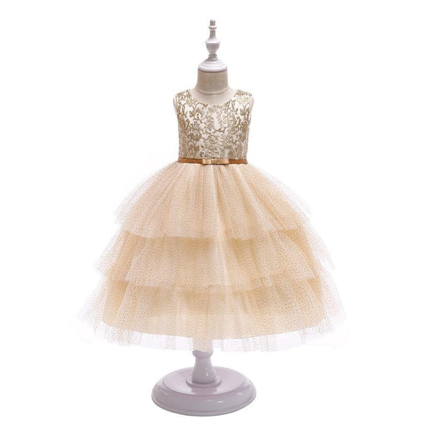 Girl Thread Embroidry Tutu Party Dress