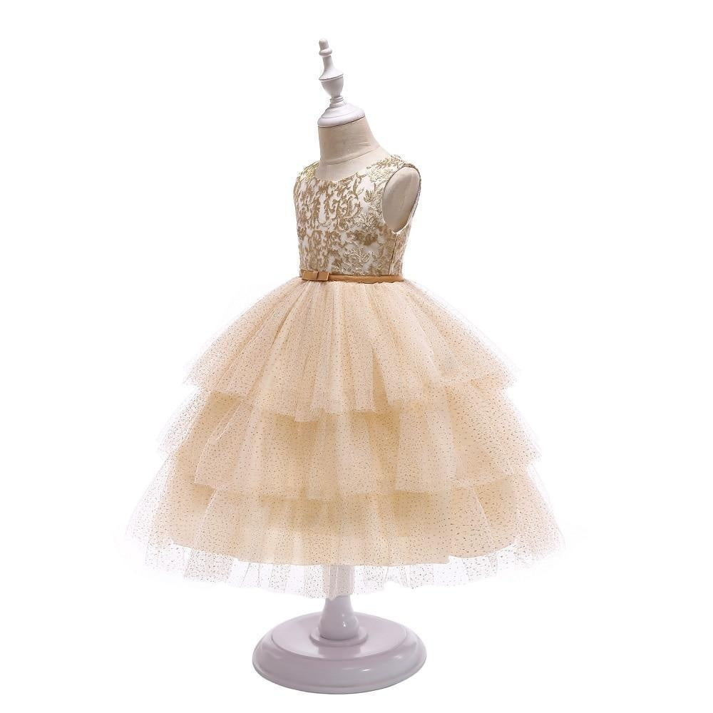 Girl Thread Embroidry Tutu Party Dress