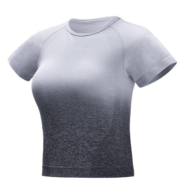 Ombre Seamless Crop Top - Short Sleeve