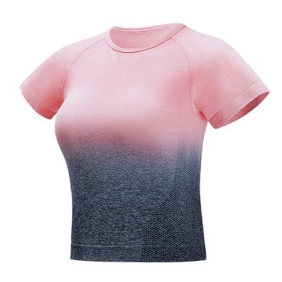 Ombre Seamless Crop Top - Short Sleeve