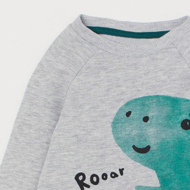 Roaring Dino Print Sweatshirt Set