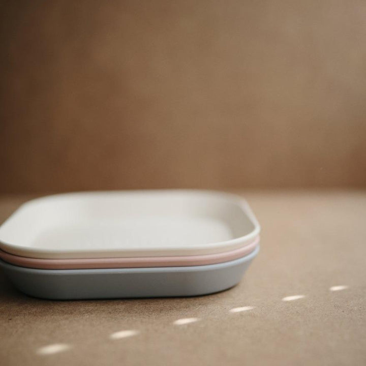 Square Dinnerware Plates [Set of 2] - MomyMall