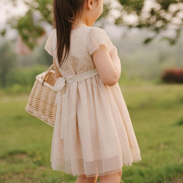 Twinkle Little Stars Princess Tulle Dress